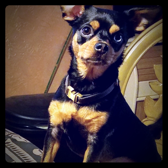 Let's Go 2025🥳 - Picture 3 of 7